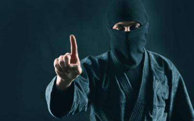 Terrorisme! Wie Zijn de Verantwoordelijken?