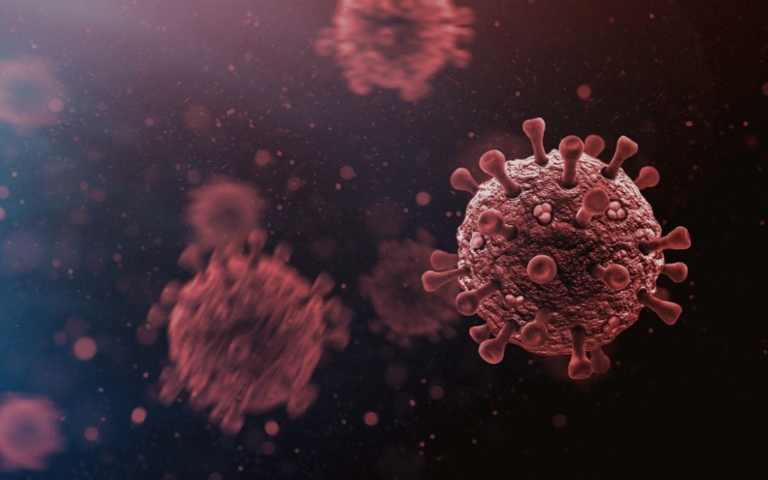 L&rsquo;islam maladie transmissible !