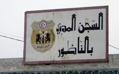 Summer in the Homeland: 1982