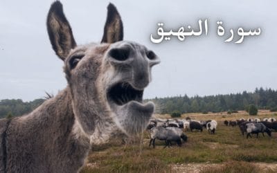 سورة النهيق
