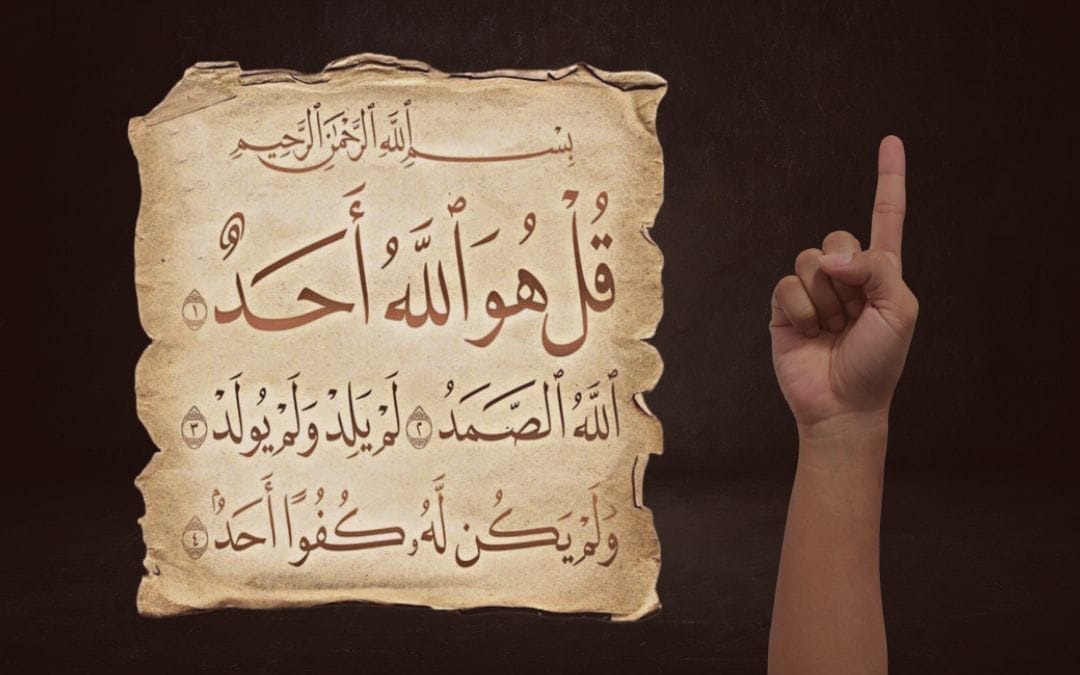 The Myth of a Single Origin: How the Illusion of Oneness Threatens Humanity