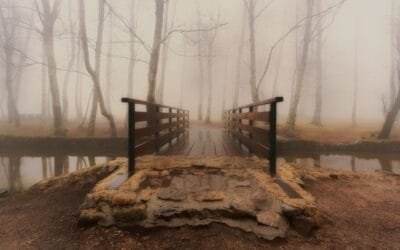 Is Destiny a Lie or a Truth?